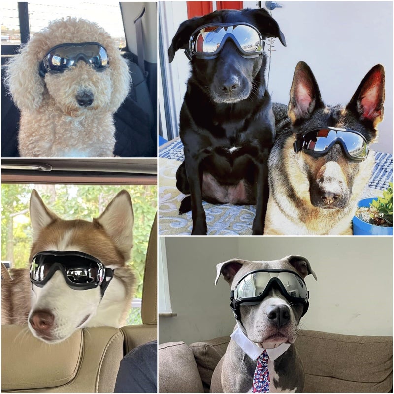 NAMSAN Dog Goggles Medium to Large Breed, Anti-UV Sunglasses for Dogs Large Breeds, Windproof Driving Dog Eye Protection, Doggy Glasses with Elastic Straps, Adjustable, Black - Image 2